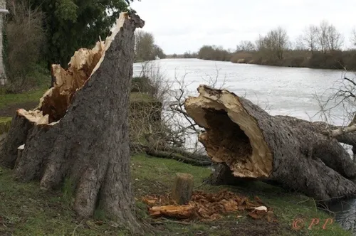 La tempête Zeus et ses conséquences ce vendredi encore en Bretagne