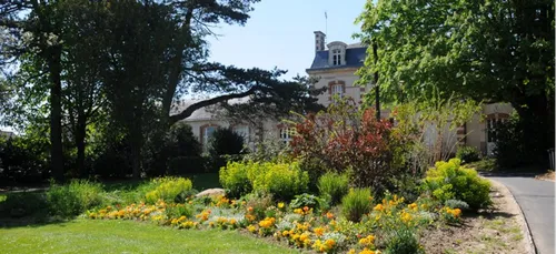 Angers et Nantes, villes les plus vertes de France