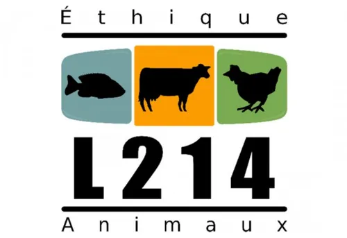 Fermeture d'un élevage de porcs de Pouldreuzic : une pétition...