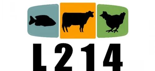 Défense animale : une marche pacifique dimanche à Pouldreuzic