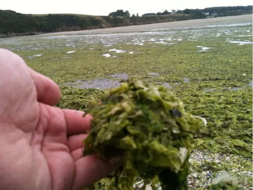 Mort d'un joggeur à Hillion : le procureur classe l'affaire sans...