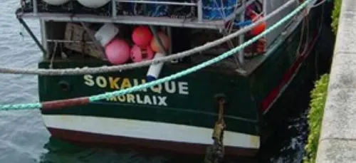 Naufrage du Sokalique : la décision mise en délibéré au 18 mai