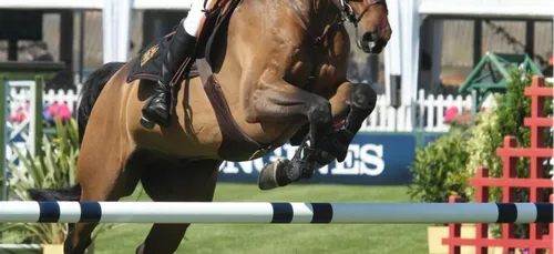 C'est parti pour le Jumping de La Baule