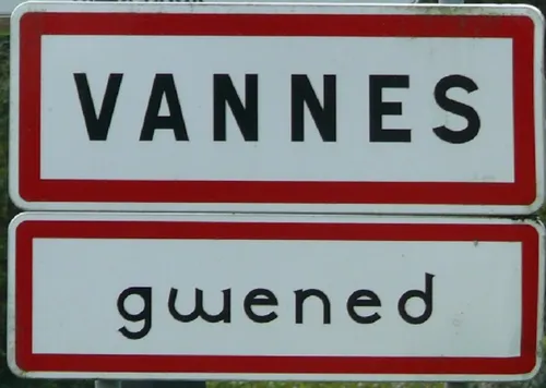 OL/PSG : la finale de la CDF féminine à Vannes ce soir