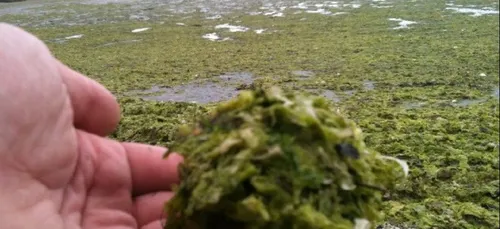 Un nouvel espoir pour la famille de Thierry Morfoisse