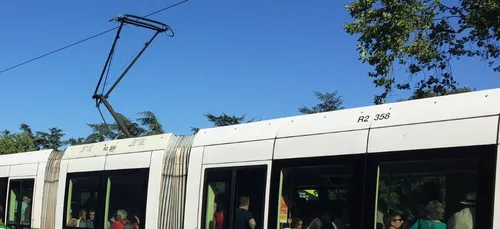 Canicule : bermuda autorisé dans les bus et tram nantais !