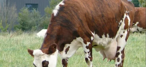 Une  ferme expérimentale ouvre ses portes à la Roche Sur Yon