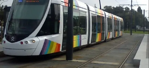 Les conducteurs de bus et de tram angevins peuvent porter des bermudas