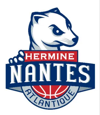 Basket : deux nouvelles recrues pour l'Hermine de Nantes