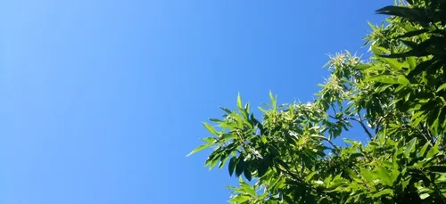 Un temps estival dans l'Ouest cette semaine