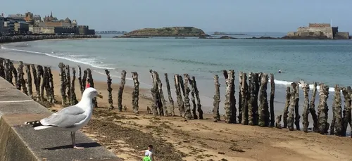 Grandes marées : restez prudents !