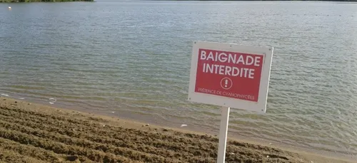 Baignade de nouveau autorisée aux étangs d'Apigné