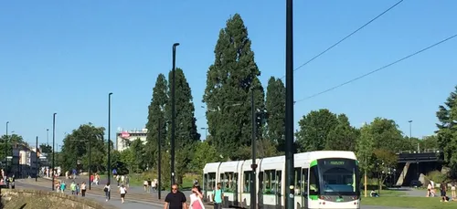 Mouvement social à la TAN ce week-end