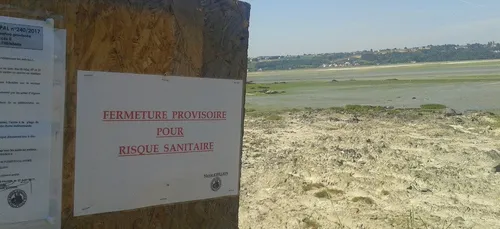 Manifestation sur la plage à Hillion (22) contre les algues vertes