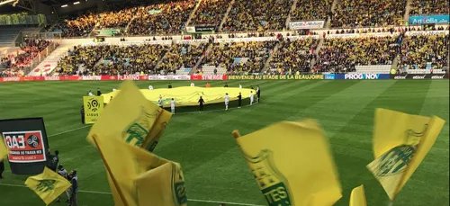 L'art de bien choisir sa mascotte