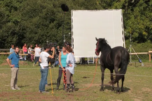Tournage autour de l'équithérapie dans le Morbihan