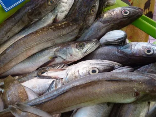 Travaux publics, formation d'employés de marée : les bons plans...