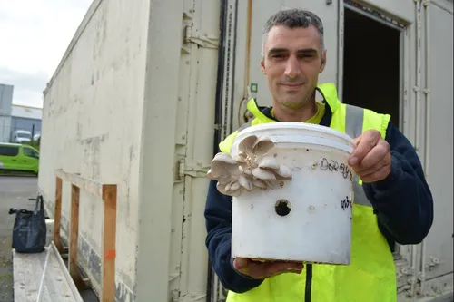 Blue Economy : Un quimpérois produit des champignons grâce au marc...