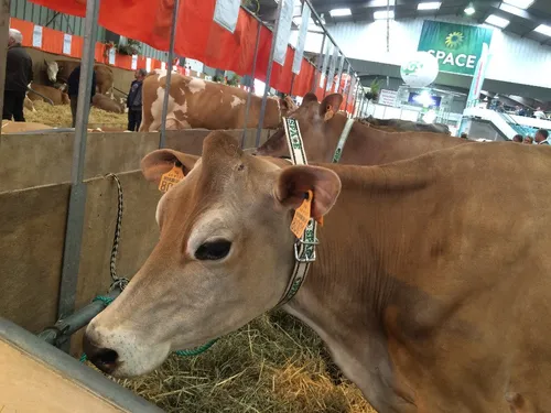 Space : retour sur la visite du Ministre de l'Agriculture hier à...