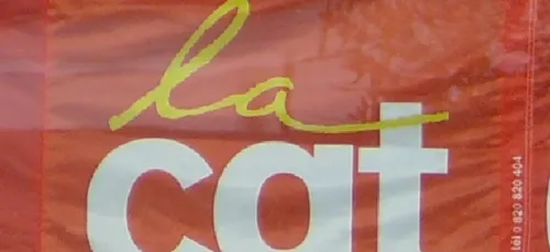 Quelques milliers de retraités dans les rues de l'Ouest