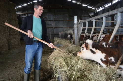 Fin de l'aide au maintien : la grogne monte chez les agriculteurs bio