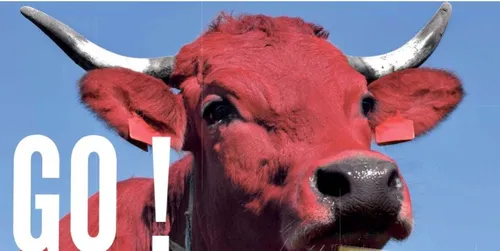 Le salon Tech’Elevage, fin  novembre à La Roche