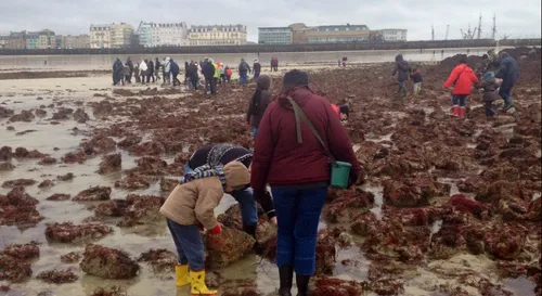 Elle trouve une perle dans une palourde !!!