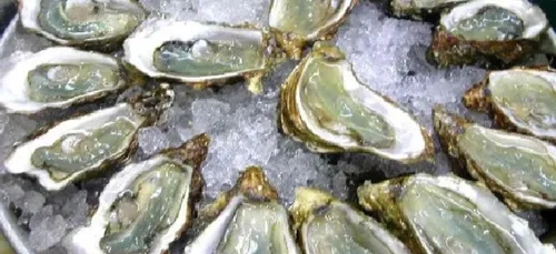 Les huîtres Vendée Atlantique en pleine promotion