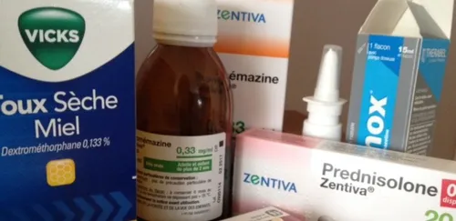 Grippe : après la Bretagne maintenant les Pays de la Loire !