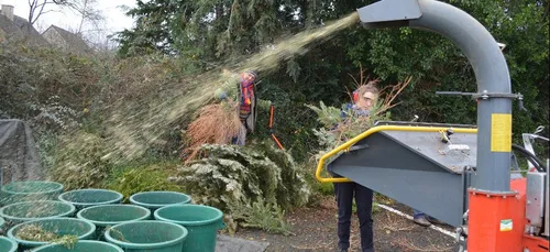 Qu'est ce qu'on fait du sapin ?