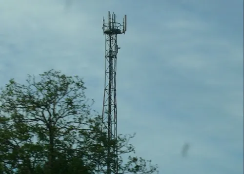 Malbouffe, ondes électromagnétiques : le Finistère se distingue