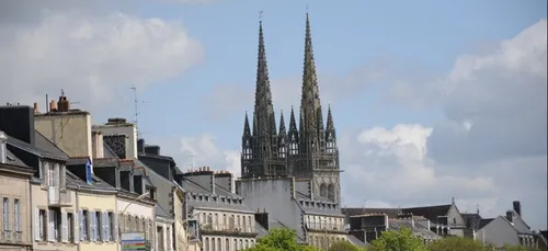 Vigilance mérule pour le Finistère