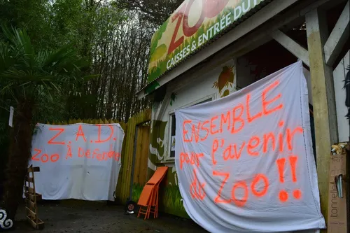 Pont-Scorff : dénouement ce jeudi au zoo ?