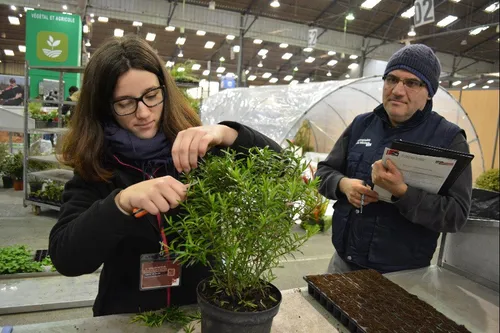 Les olympiades : 52 métiers présentés à Saint-Brieuc