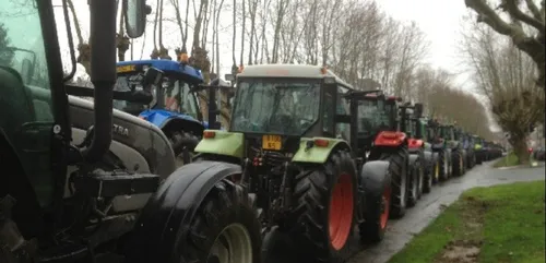 Les agriculteurs vont défiler en tracteurs aujourd'hui