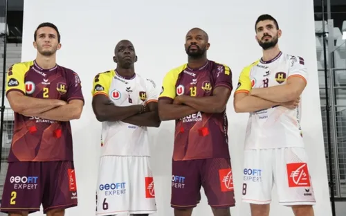 LNH : Nantes gagne, Cesson perd