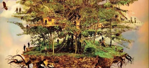 Arbre aux hérons : la cagnotte dépasse les 100 000 euros