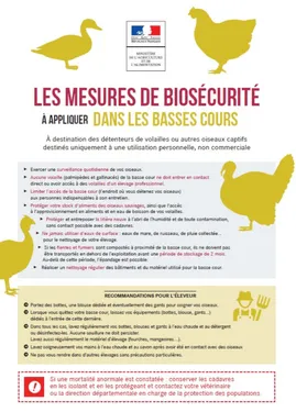 De nouveaux cas de grippe aviaire en Vendée et Finistère ?