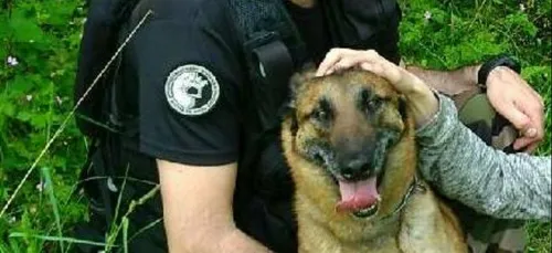 8 mai : un chien renifleur décoré à Nantes !