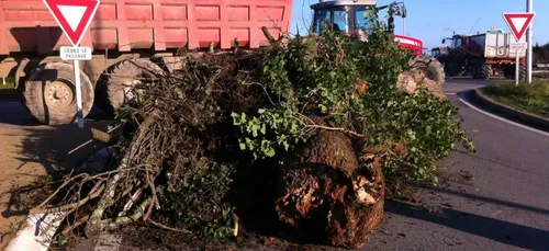 La menace des agriculteurs du Morbihan