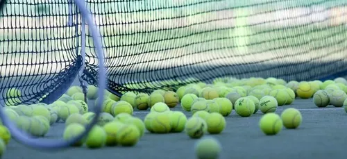 RG : Djokovic peut-il réussir son come-back ?