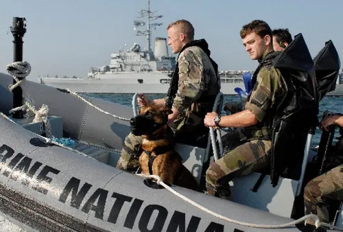 Un D Day à partir d'aujourd'hui dans le Morbihan !