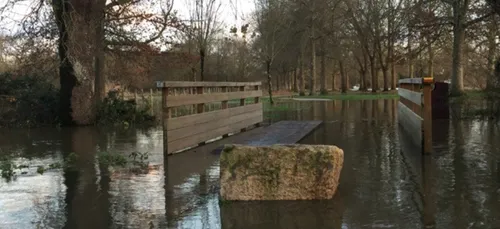 Les ligériens les pieds dans l'eau !