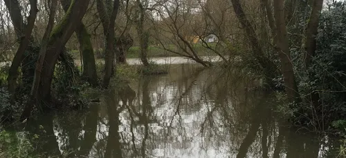 Fortes pluies : comment limiter les dégâts ?