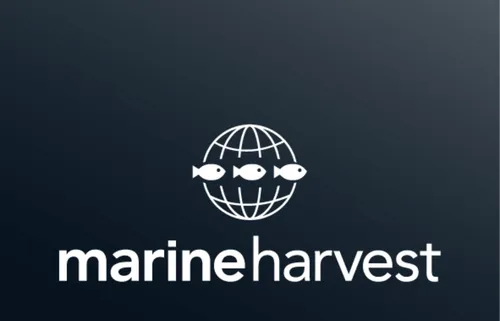 Incendie maîtrisé chez Marine Harvest