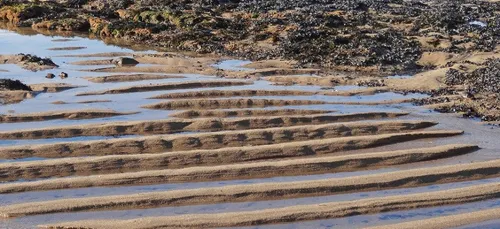 Grandes marées en vue ce week-end