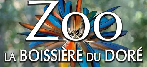 Quatre naissances à la Boissière du Doré