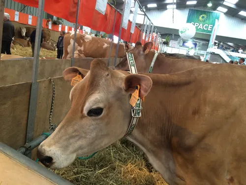 Agriculture : Coup d'envoi du Space à Rennes