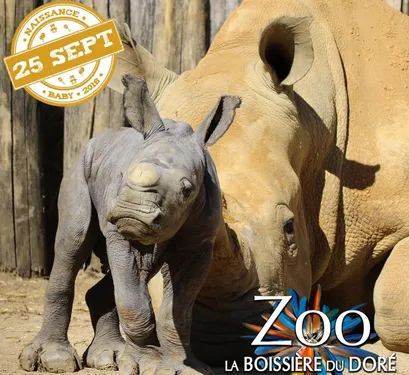 Carnet rose à la Boissière du Doré !