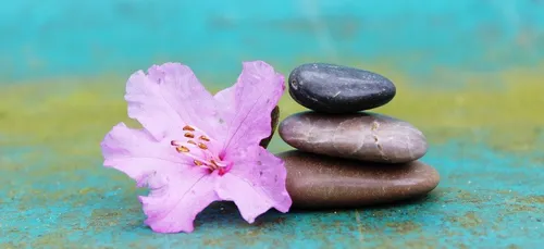 Le salon Zen et Bio jusqu'à dimanche à Nantes !